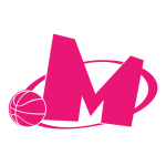 KK Mega Basket