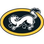 Oulun Kärpät