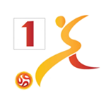 1. MFL